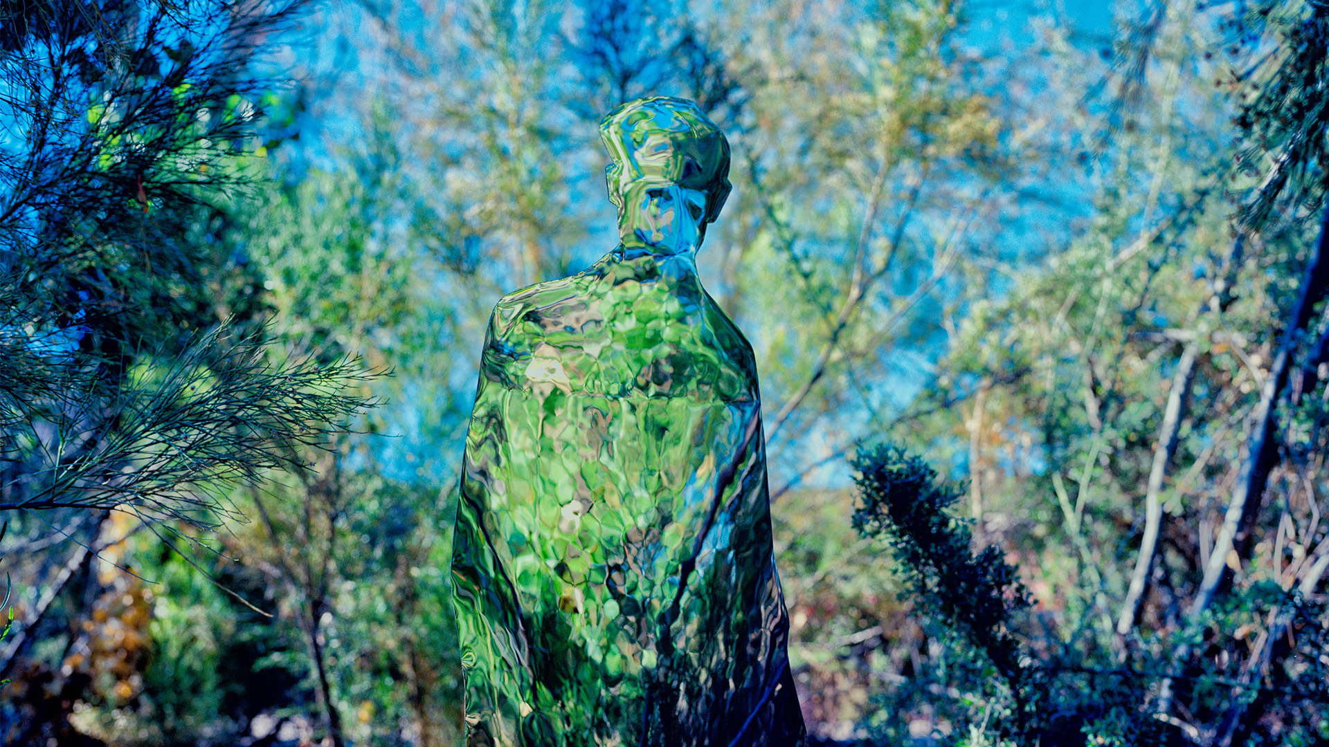 And I Wander